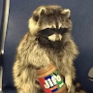 Meet your Posher, Colleen